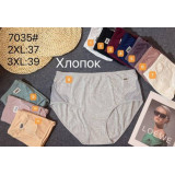 Плавки жен № 7035 2ХL,3XL (прод. по 2) синие