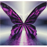 Мозаика со стразами 20х20 на рамке LM-K20130(бабочка)