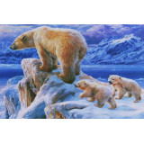 Картина рисование по номерам 20х30 RAS2031(белые медведи)