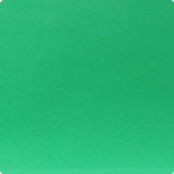 Фоамиран 1мм 49х49 (прод по 10) EVA-013 (09) зеленый