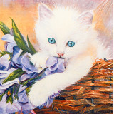 Мозаика со стразами 20х20 на рамке MF28985 белый котенок