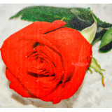 Мозаика со стразами 25х25 без рамы YCC 20601 роза