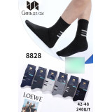 Носки муж. махра 