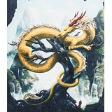 Картина рисование по номерам 40х50 X 6435 Желтый дракон
