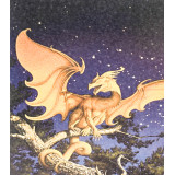 Картина рисование по номерам 40х50 X 6431 Оранжевый дракон