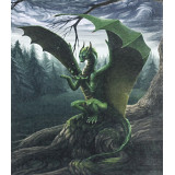 Картина рисование по номерам 40х50 X 6428 дракон