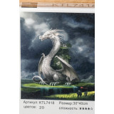Картина рисование по номерам 40х30 KTL 7418 серый дракон