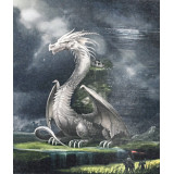 Картина рисование по номерам 40х50 X 6427 дракон в поле