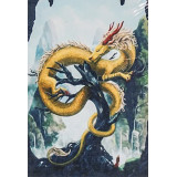 Картина рисование по номерам 20х30 RAS2477 желтый дракон