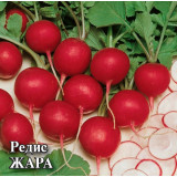 Редис Жара 25 г Гавриш (прод по 10) 1531