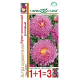 Астра Букет роскошный розовый однолетняя (1+1) 0,5г Гавриш (прод по 10) 1508