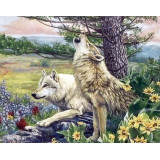 Картина рисование по номерам 50х65 X6360 волк