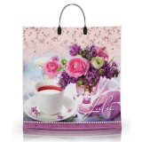 Пакет с пластиковой ручкой  40*40 Юлия (прод.по 10)*100