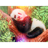 Мозаика со стразами 30х40 АК-3040051 Панда