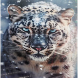 Мозаика со стразами 40х50 на рамке АК-4050042 снежный барс