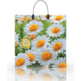 Пакет с пластиковой ручкой  36*34 Ромашки (прод.по 10)*100