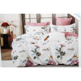 КПБ Пандора А+В сатин (1,5-х сп ) №14