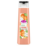 Гель д/душа Camay Абрикос и Масло Ши 400мл*12  2823