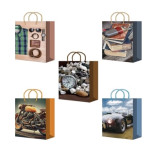 Подарочный пакет ламинированный 22*31*10 (МL25 706-710 Микс) (прод.по 10)*200 ПРБ62584 0384/0153