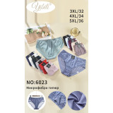 Плавки жен (3XL-5XL) (прод по 3) 6023 беж