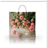 Пакет с пластиковой ручкой  36*34 Мелани (прод.по 10)*100