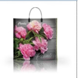 Пакет с пластиковой ручкой  36*34 Пионы (прод.по 10)*100