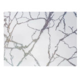 Клеенка силикон прозрач с рисун Dekorelle 0,6*20м  201-SW/8246