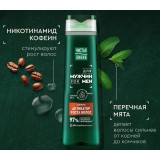 Шампунь ЧИСТАЯ ЛИНИЯ Men 400мл для активации роста волос*12 1406