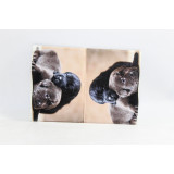 Обложка для паспорта №11 кожа (прод по 10) (шт.) 