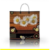 Пакет с пластиковой ручкой  36*34 Дейзи (прод.по 10)*100