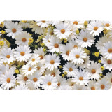 Скатерть ПП 60*90см Ромашки 5144