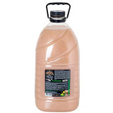 Мыло жидкое ВЕСТА хозяйственное 5л *3  4556