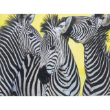 Картина рисование по номерам 40х50 RA73931 зебры