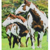 Картина рисование по номерам 40х50 RA74438 лошади