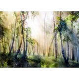 Картина рисование по номерам 40х30 LMS 3036 утро в лесу