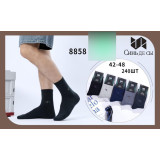 Носки муж. махра 