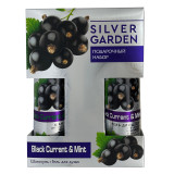 Набор подароч.SILVER GARDEN ЧЕРНАЯ СМОРОДИНА И МЯТА (Шампунь 250 + Гель д/душа 250) 1013