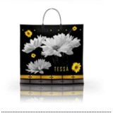 Пакет с пластиковой ручкой  36*34 Тесса (прод.по 10)*100