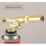 Горелка 219 *10*100