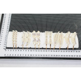 Невидимка LT-9444/2 (прод по 12) (цена за пару)