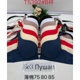 Бюстгалтер 