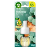 Air wick Запаска Аромамасло Голубой Эвкалипт & Кедровое Дерево 19мл *6  8246