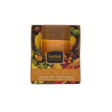 Арома Свеча в стакане LUMAR 903959 Тропические фрукты 125 г ИСПАНИЯ*6 0838