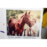 Картина рисование по номерам 40х50 RA3821 конь