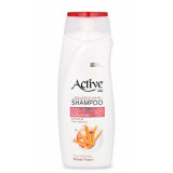 Шампунь ACTIVE ИРАН 