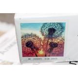 Алмазная живопись без рамы 25х25 АК-2020093 одуванчики