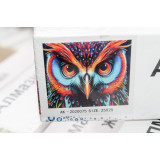 Алмазная живопись без рамы 25х25 АК-2020075 сова