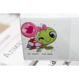 Алмазная живопись без рамы 25х25 АК-2020091 черепаха