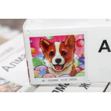 Алмазная живопись без рамы 25х25 АК-2020084 собака