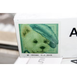 Алмазная живопись без рамы 25х25 АК-2020085 собака